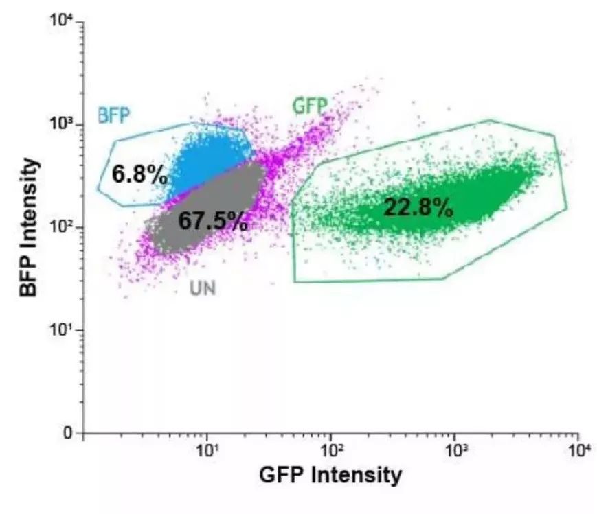 揭秘最准一肖、码一一子中特37b，理性与科学的边界