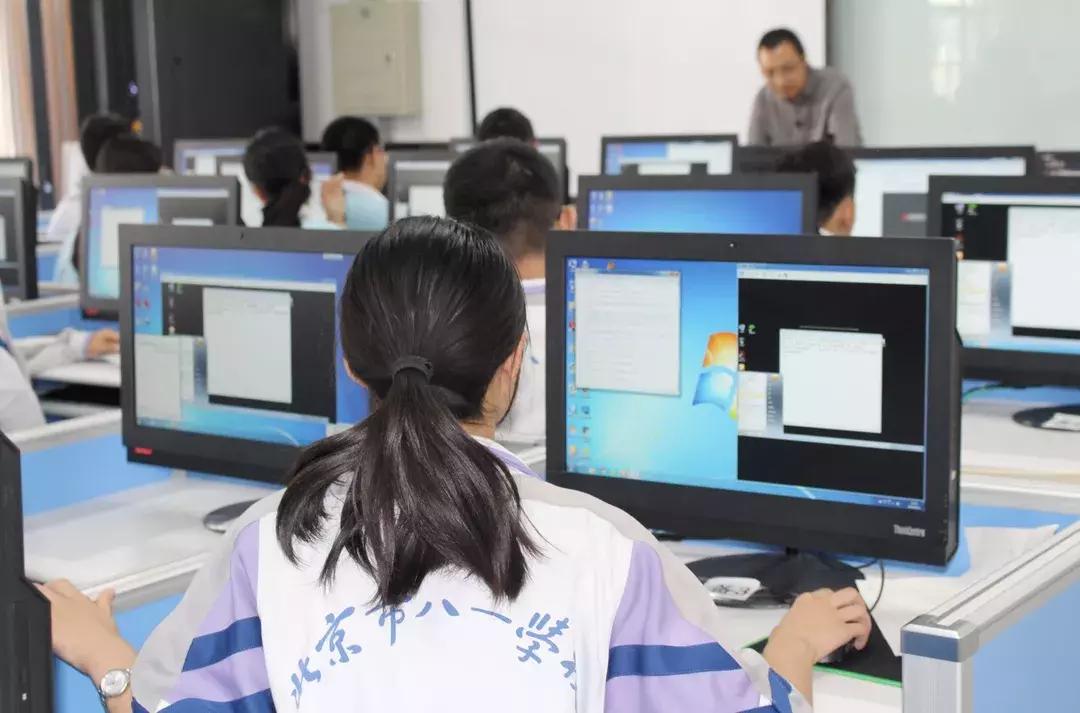 抓码王，解锁数字世界的秘密钥匙