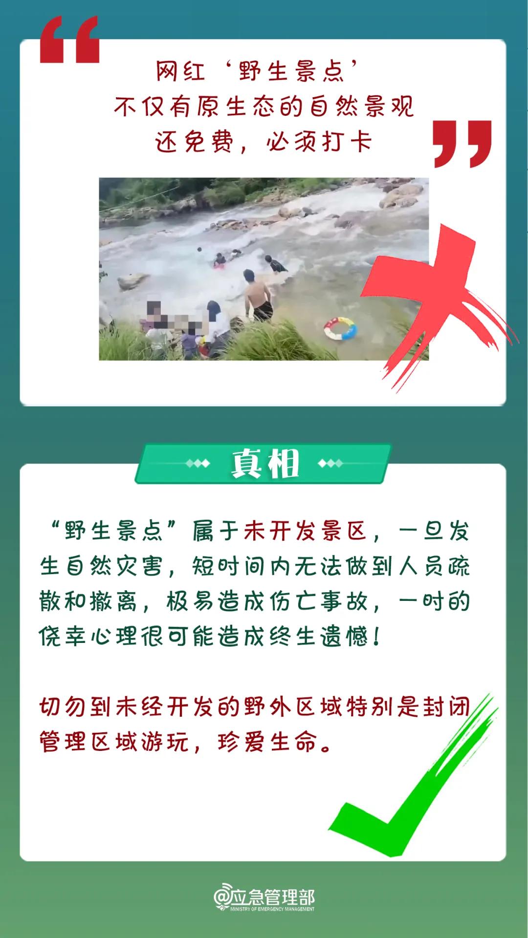 揭秘白小姐精准免费四肖背后的真相与理性思考