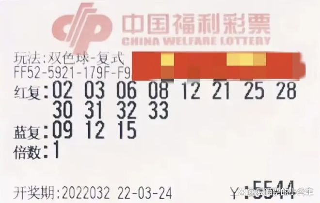 揭秘2019年六给彩今晚开奖结果，理性看待彩票与娱乐的边界线？——一场数字游戏的背后真相！