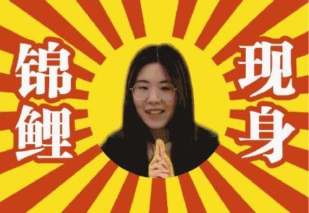 澳门2019年今晚开奖结果，回顾与展望