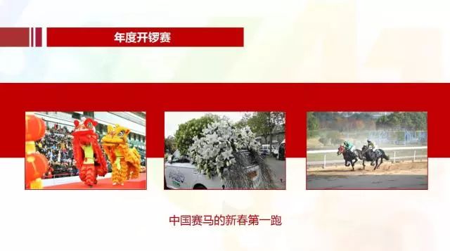 2018年今晚已开特马结果，一场数字的盛宴与期待