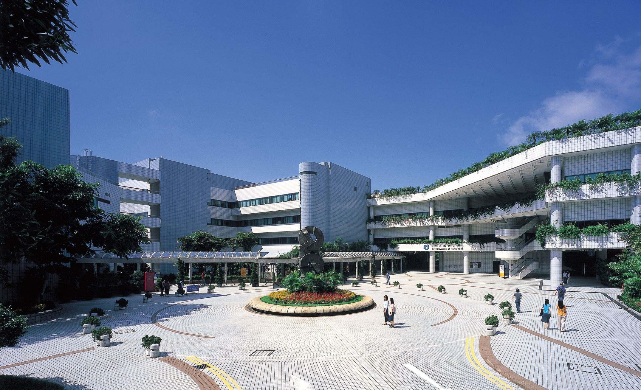 2019年香港免费资料大全，一站式获取最新资讯与实用指南