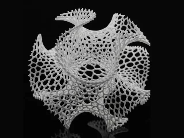 探索天牛3D图库，一个创意与技术的完美结合