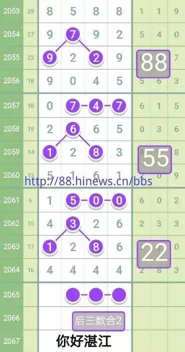 七星彩南海网，数字背后的奇幻之旅