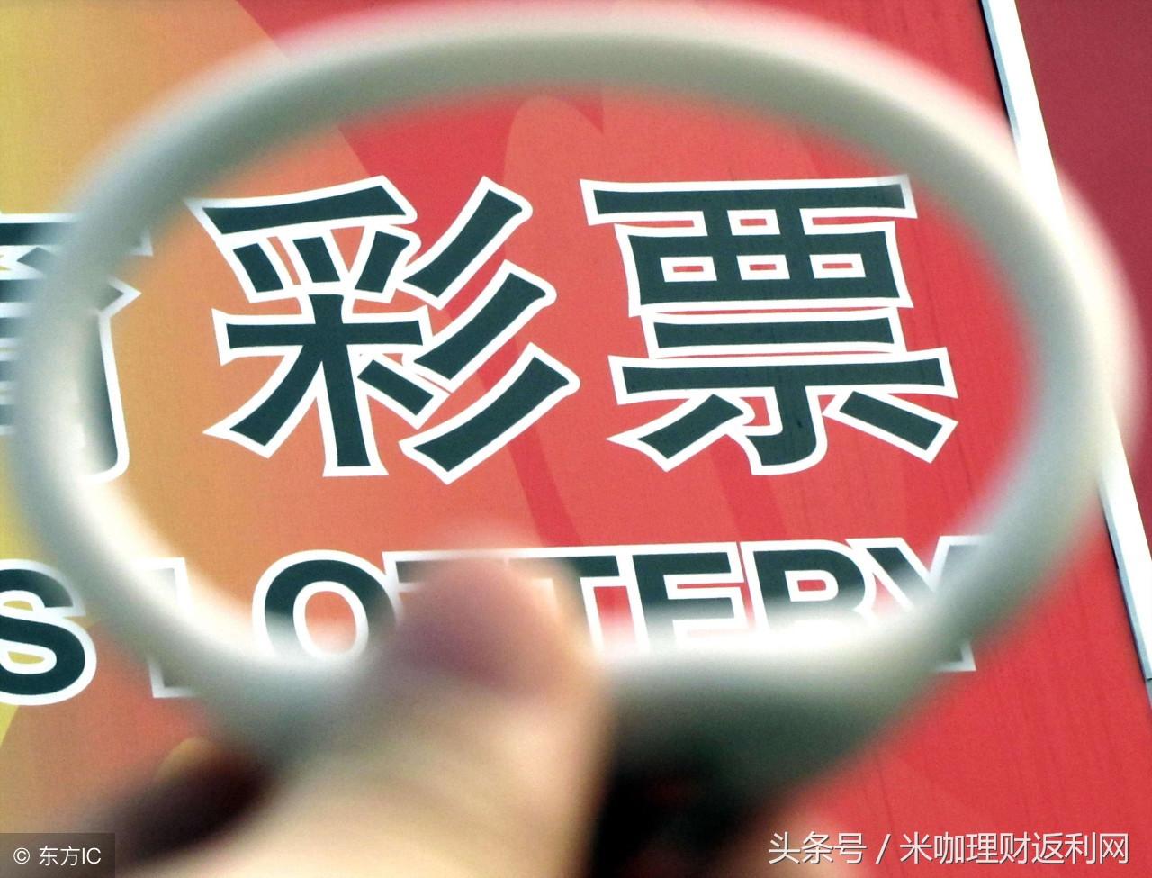 今晚特马号，揭秘彩票背后的数字魔法与人生哲学