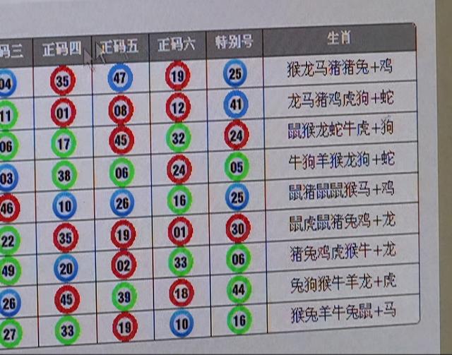 2048年六会彩生肖卡对照表，揭秘与解析