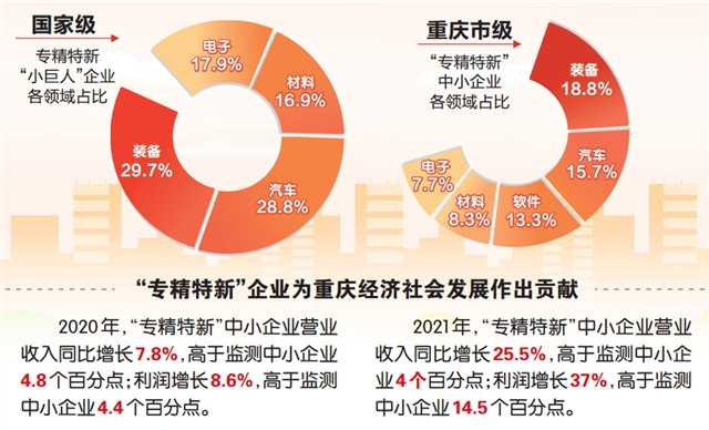 揭秘开奖特马料，理性与智慧的博弈