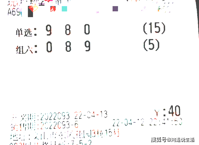 揭秘香港最准四肖中特选一，理性与幸运的完美结合