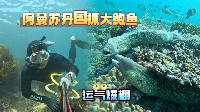 探索神秘水域，138,097与美人鱼论坛的奇幻之旅