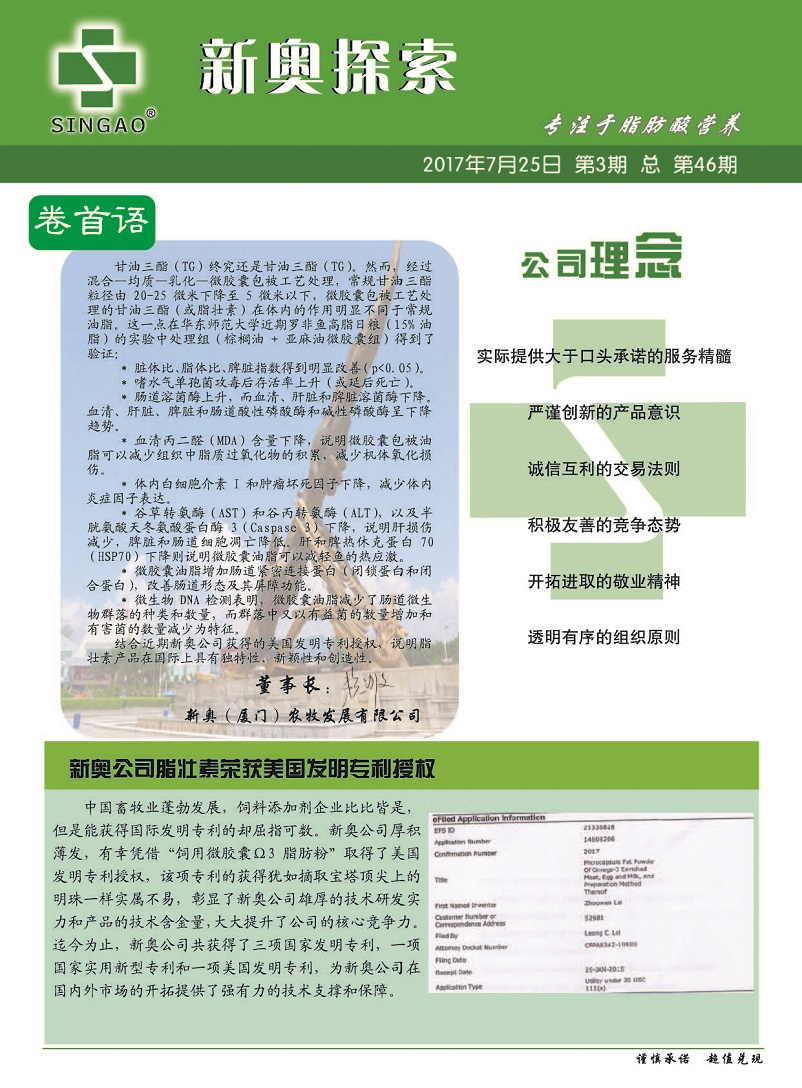 探索新奥天天免费资料，解锁知识宝库的钥匙