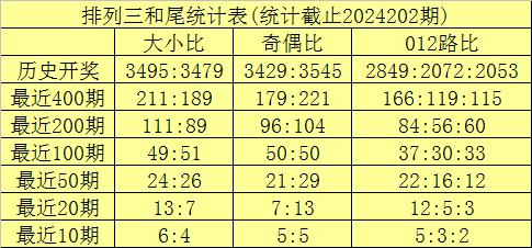 澳门新彩，203年开奖记录查询与透明度解析