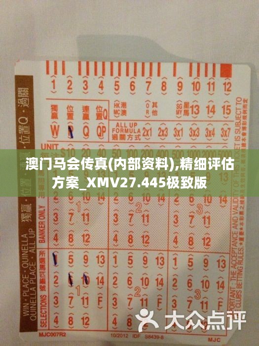 正版马会传真资料——赛场上的智慧之选