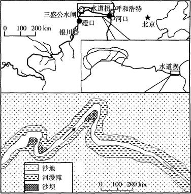 精准特马资料，揭秘最准确的预测方法与技巧