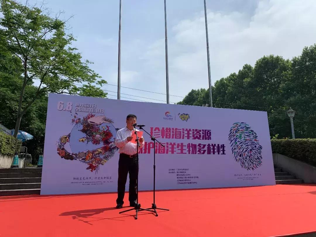 探索知识海洋，正版资料全年大全的无限价值