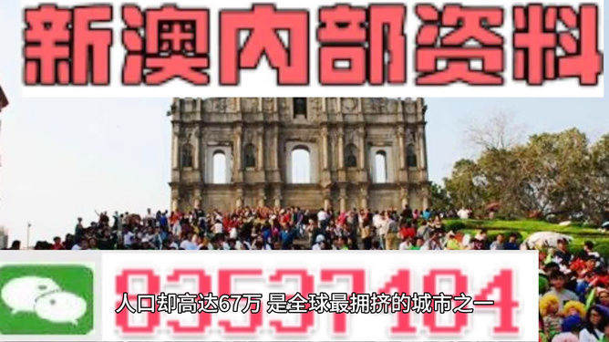204年澳门正版精准资料，揭秘未来赌场趋势与安全策略