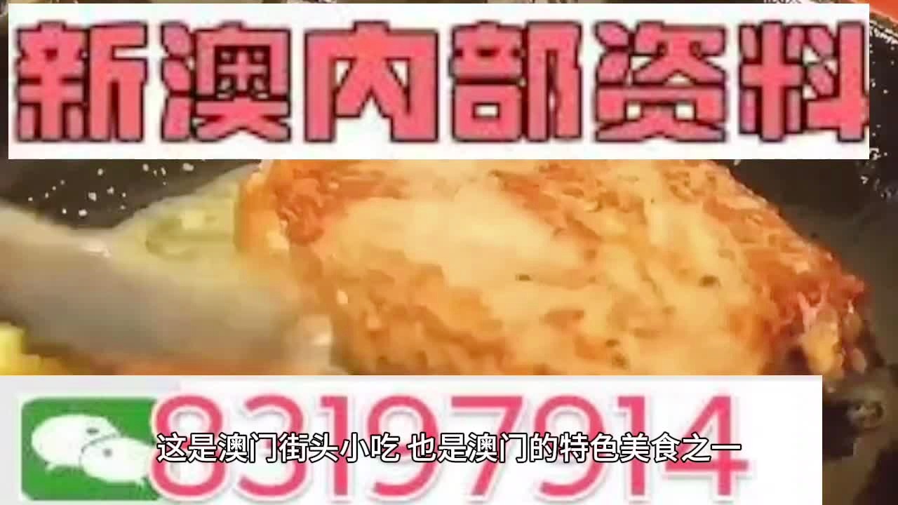 管家婆内部精选资料大全，解锁高效管理新境界