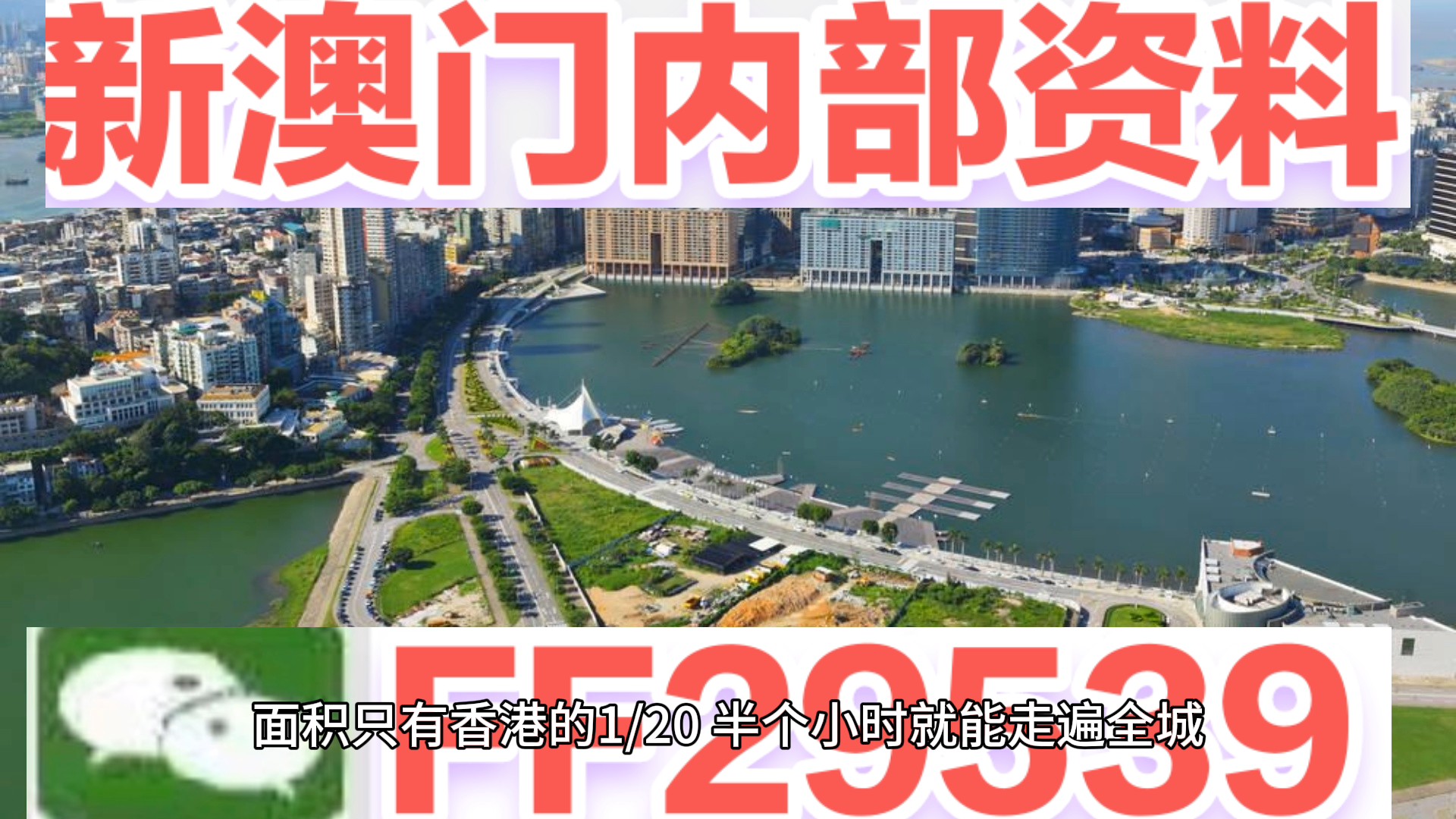 澳门新篇章，2047年今晚开码的公开盛事