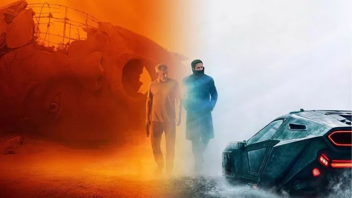 2049，新奥门王中王的未来展望