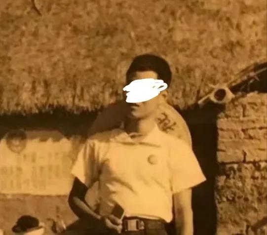 四肖期中准—精准预测与策略分析