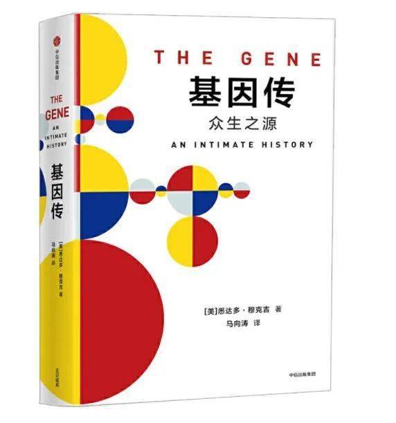 探索期四肖选一的奥秘，理性与直觉在彩票中的微妙平衡