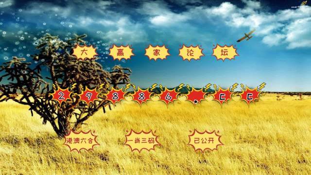 澳门彩，揭秘49选6的独特魅力与资料分析