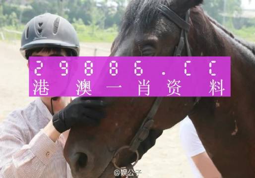 澳门一肖必中，揭秘背后的数字与概率