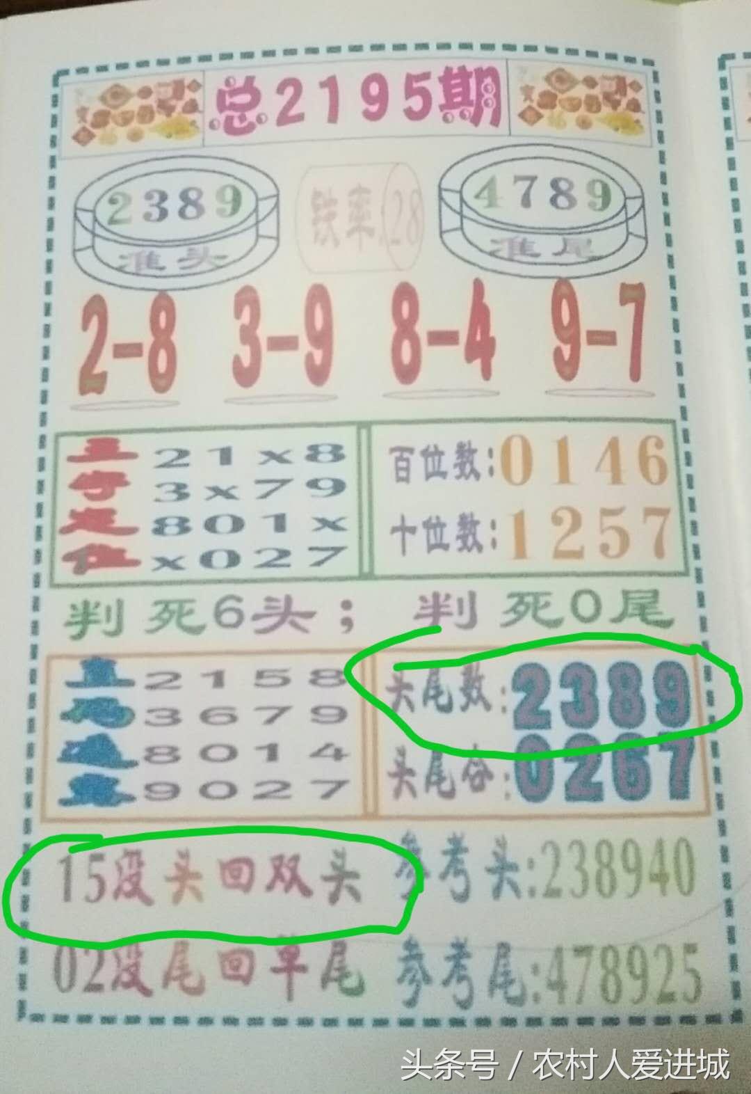 澳门一肖与精准预测，揭秘背后的数字逻辑