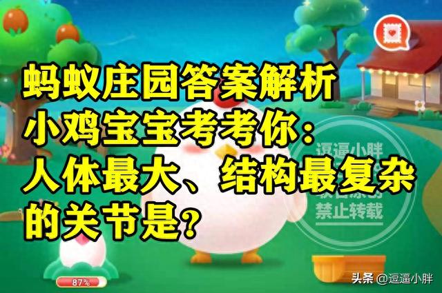 探索天牛3D图库与红五图的精彩世界，汇总解析