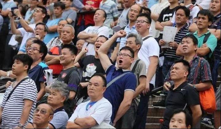 2019年香港马内部免费资料，揭秘赛马的背后与真相