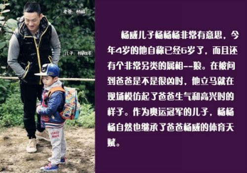 今晚一肖中特，揭秘数字背后的玄机与期待