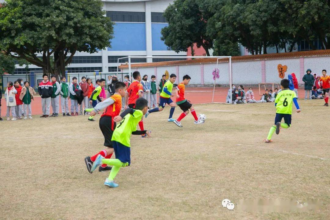 免费畅享足球激情，178直播平台带来的观赛新体验