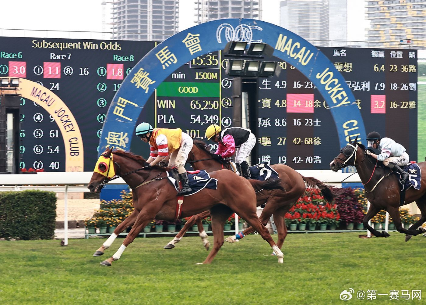 2019年马会开码结果直播与中奖回顾