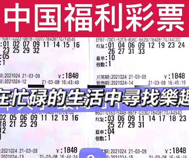 双色球终极对决—智慧与运气的巅峰较量
