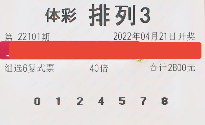 蜂巢福彩3D今日精选策略，解锁幸运密码的智慧指南