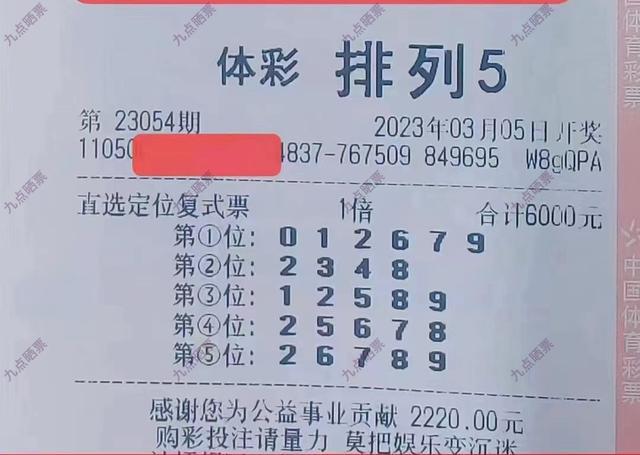 体彩票开奖结果查询公告的全面解析与实用指南