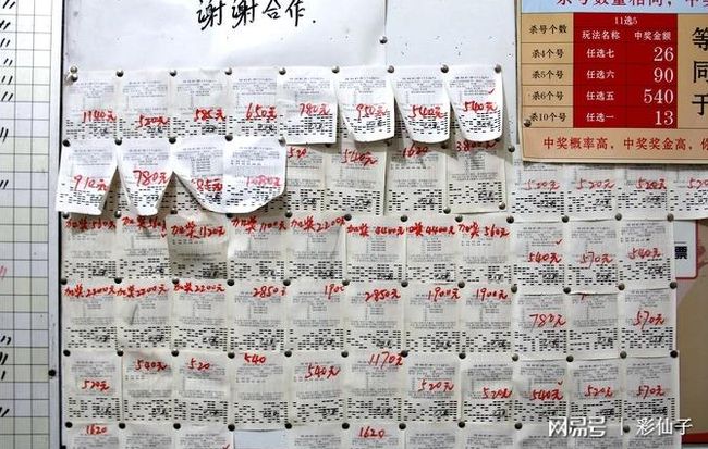 福彩试机号，今日揭秘与解读
