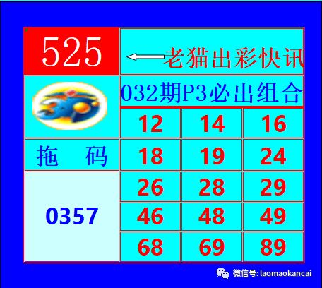 彩之网3D网络试机号绕胆图，揭秘与解析