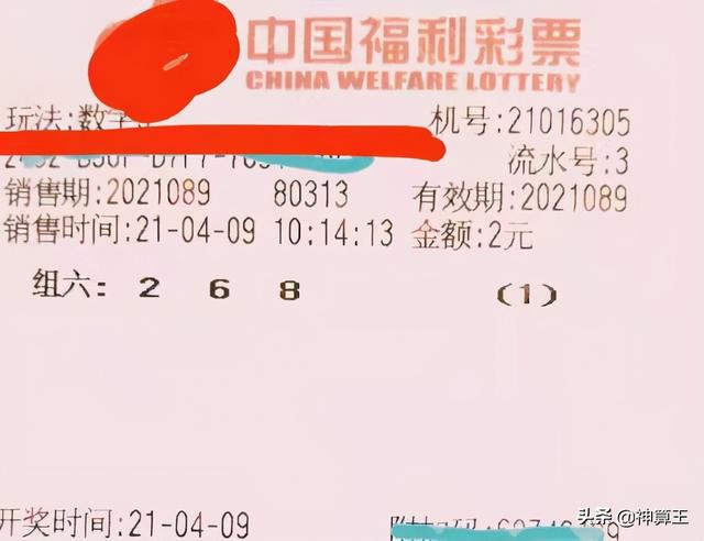 体育彩票第2104期开奖结果揭晓，梦想与幸运的碰撞