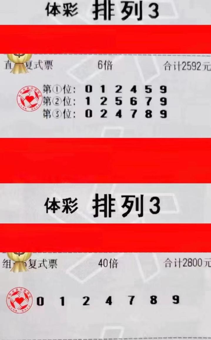 排三双彩图，数字游戏中的智慧与乐趣