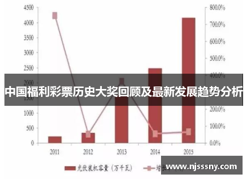 2035年，回顾与展望—从数字看中国彩票的变迁