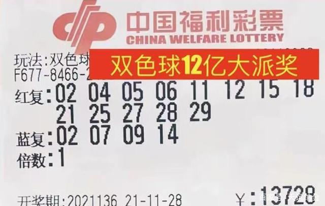 澳客彩双色球专家杀红号，揭秘选号的智慧与策略