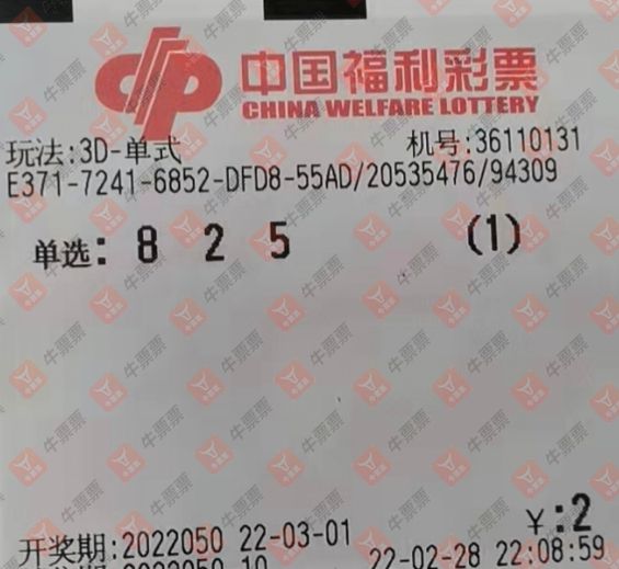 2041年福彩3D第5期，三毛图库的神秘魅力与数字游戏