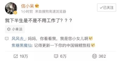 下一期可能中奖的号码，2019年（此处为笔误，实际应为预测未来彩票走势）