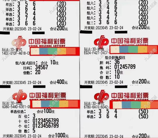 下一期彩票中奖号码的神秘面纱，科学预测与理性期待