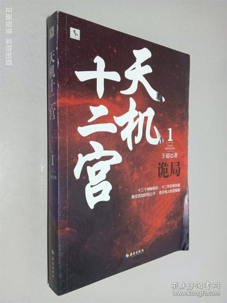 探索神秘世界，天机十二宫的在线阅读之旅