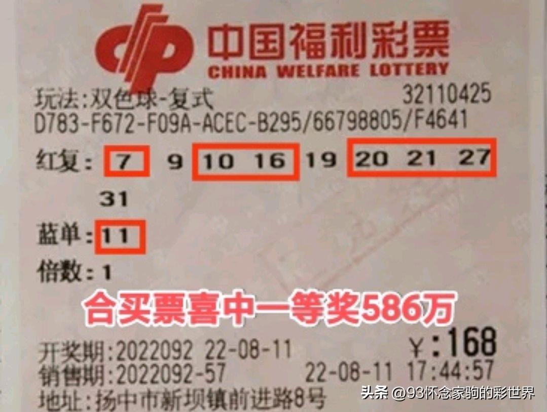 168幸运之旅，揭秘图库开奖的奇幻世界