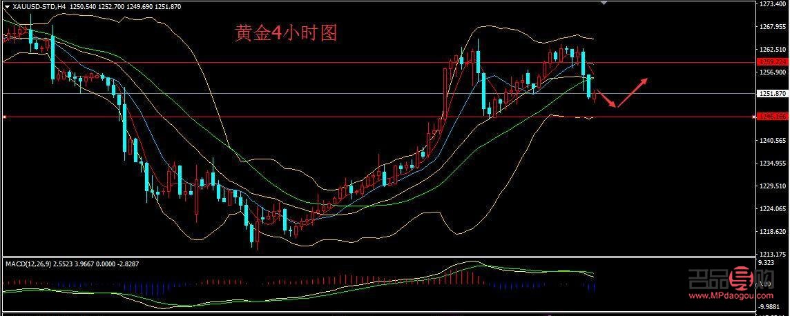 黄金走势图最新查看指南，洞悉市场脉动，把握投资先机