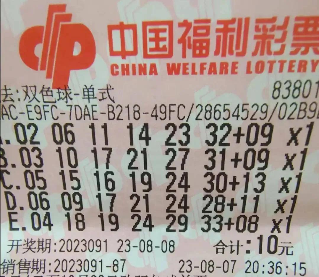 揭秘上期开奖号码，数字背后的奥秘与趋势分析