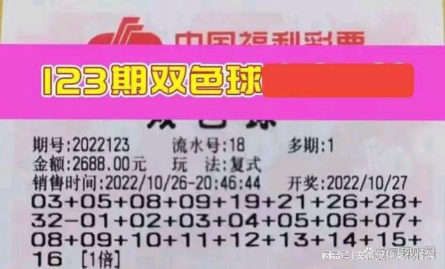 探索双色球第102期，数字背后的幸运与希望
